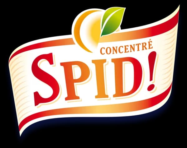 Logo Spid