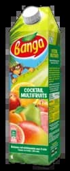 Multifruits Banga 1L — grossiste Chandra