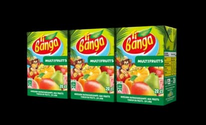 Multifruits Banga 20cl — grossiste Chandra