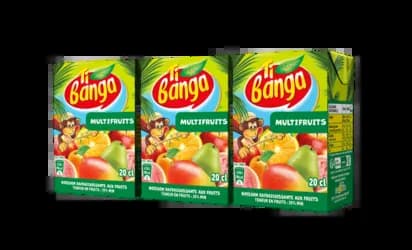 Multifruits Banga 20cl — grossiste Chandra