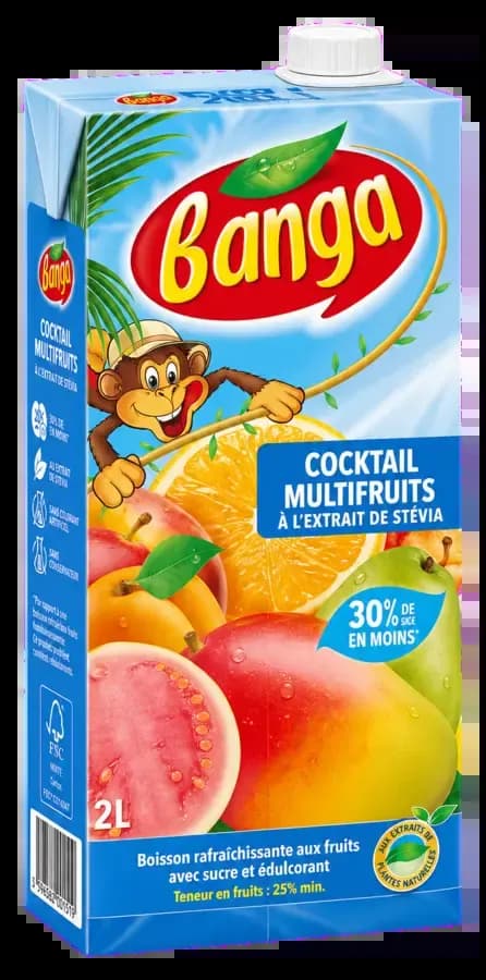 Multifruits Stevia Banga 2L — grossiste Chandra