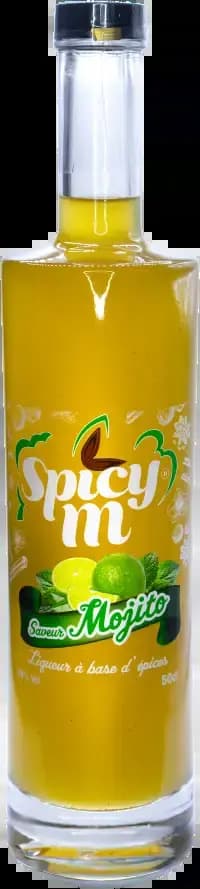 Liqueur saveur mojito SPICY M 50cl — grossiste Chandra